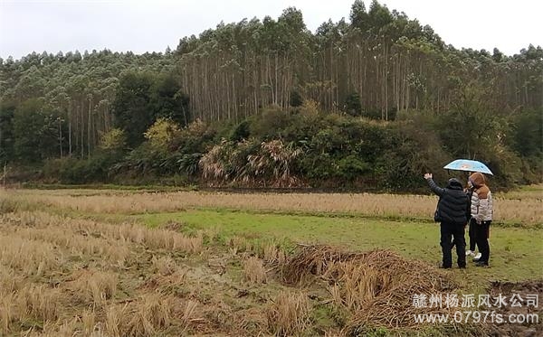 红河哈尼族彝族自治州陈老师带着爱徒寻龙点穴